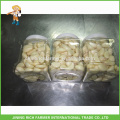 1LB X20/Ctn New Crop Top Quality Shandong Fresh Peeled Garlic